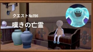 ドラクエ10　ストーリー　バージョン7　＃34　サブクエスト786　嘆きの亡霊 